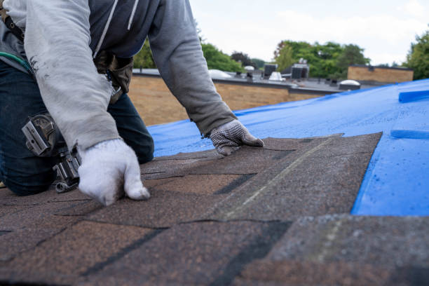 Best Roof Gutter Cleaning  in Diboll, TX