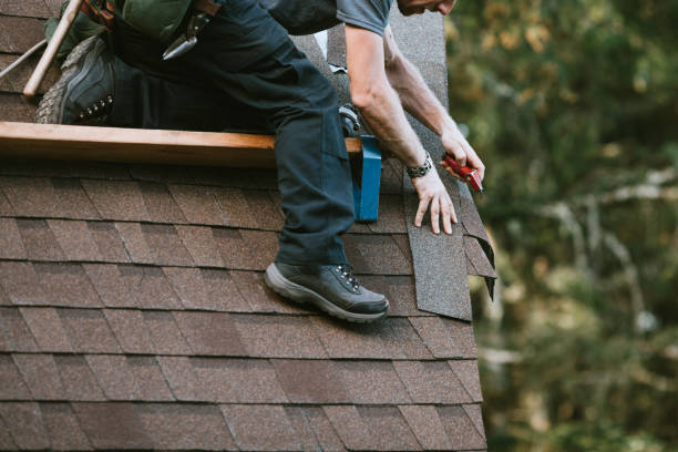 Best Metal Roofing Contractor  in Diboll, TX